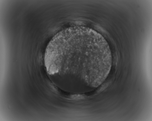 X0000086240465200704261919