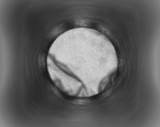 X0000086240466200704261919