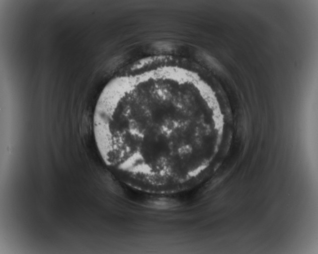 X0000086240467200704261919