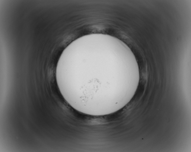X0000086240468200704261919