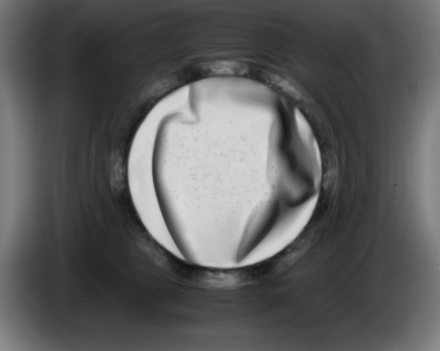X0000086240469200704261919