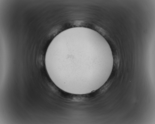 X0000086240470200704261919
