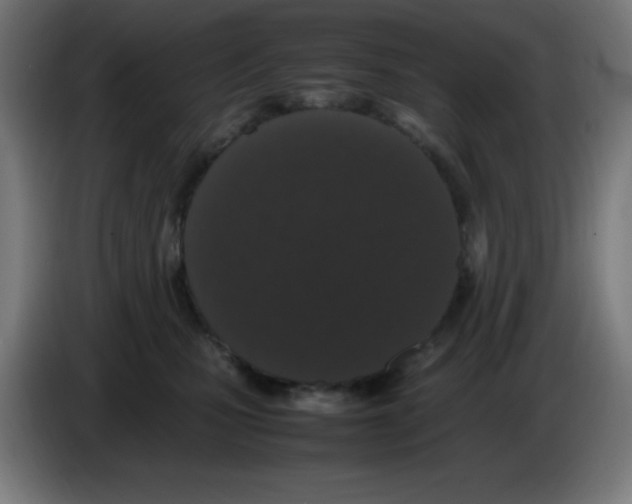 X0000086240471200704261919
