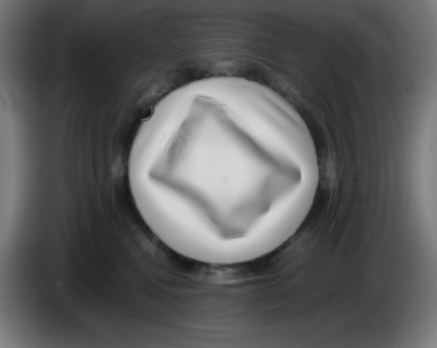 X0000086240472200704261919