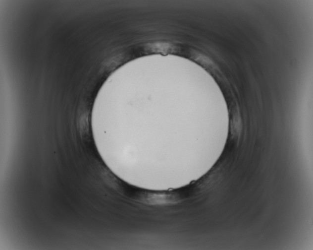X0000086240473200704261919