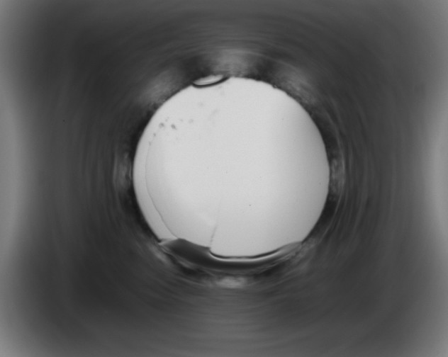 X0000086240474200704261919