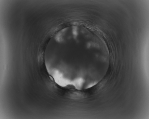 X0000086240475200704261919
