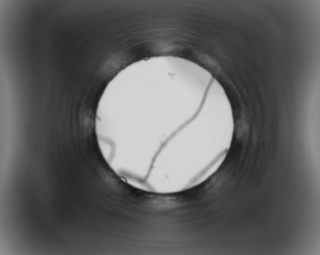 X0000086240476200704261919