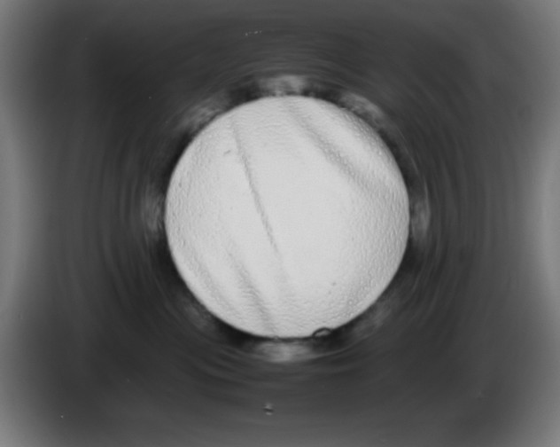 X0000086240477200704261920