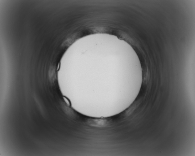 X0000086240478200704261920