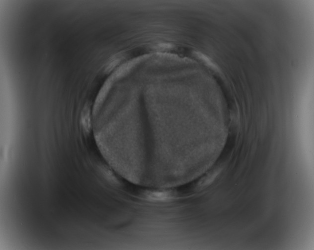 X0000086240479200704261920