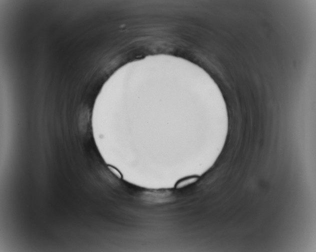 X0000086240480200704261920