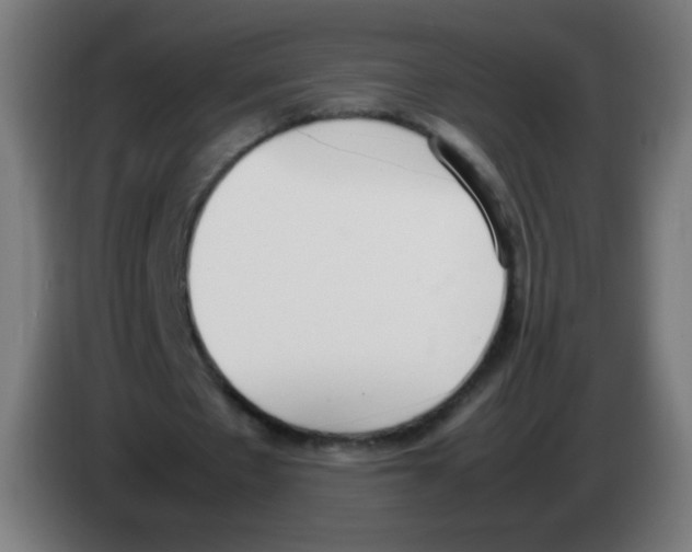 X0000086240481200704261919