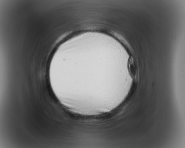 X0000086240483200704261919