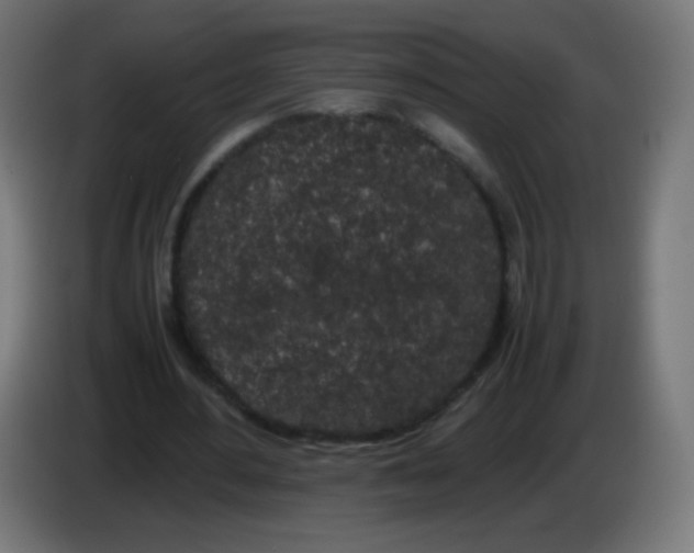 X0000086240484200704261919