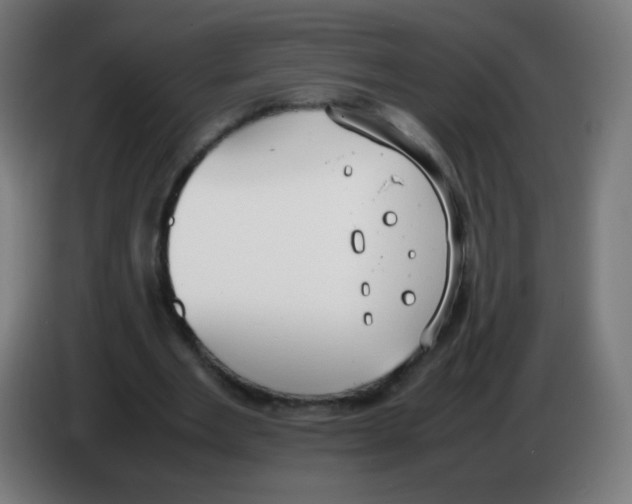 X0000086240485200704261919