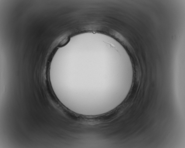 X0000086240486200704261919