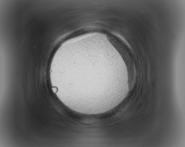 X0000086240487200704261919