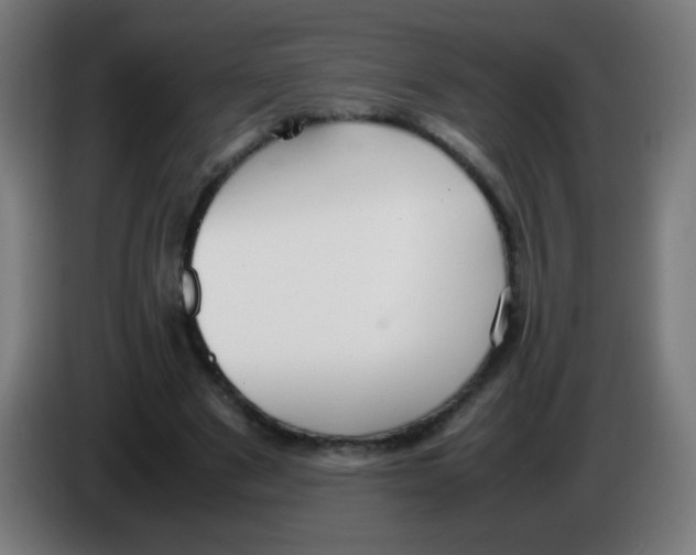 X0000086240489200704261919