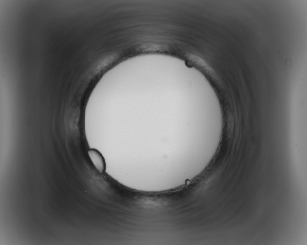 X0000086240490200704261919