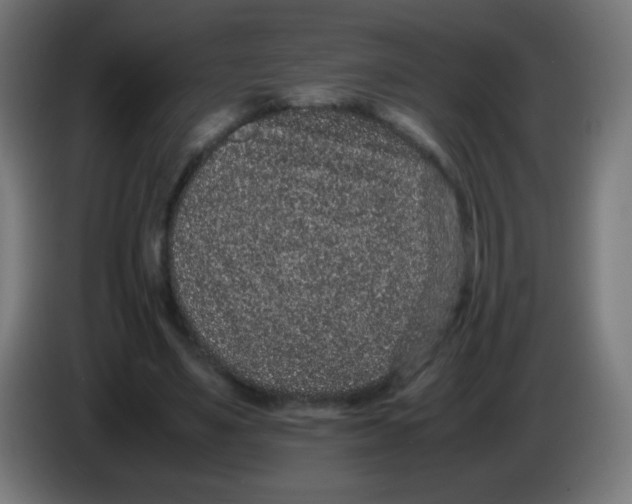 X0000086240491200704261919