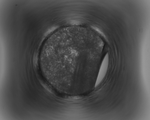 X0000086240492200704261919