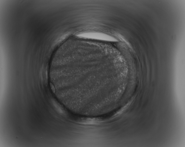 X0000086240493200704261919