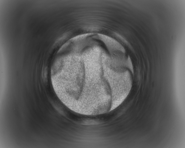 X0000086240494200704261919