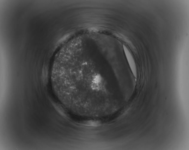 X0000086240496200704261919