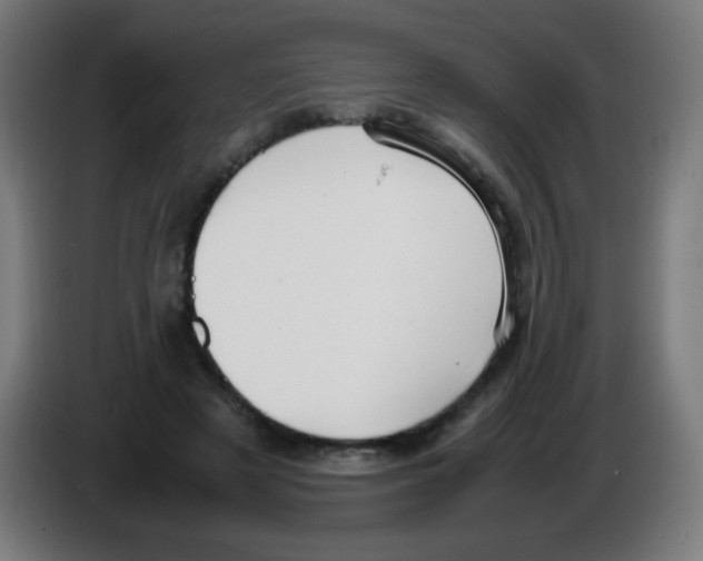 X0000086240497200704261919
