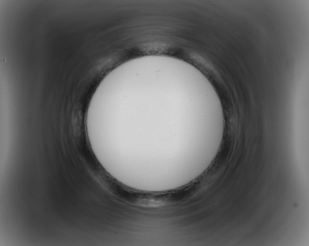 X0000086240498200704261919
