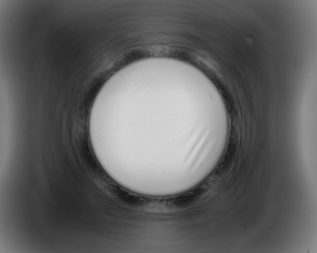 X0000086240499200704261919