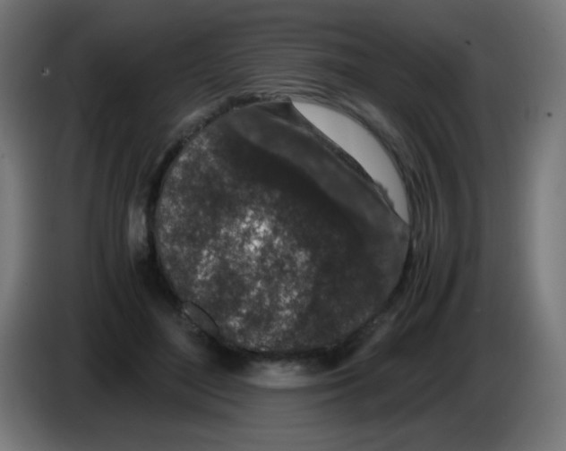 X0000086240500200704261919