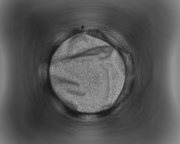 X0000086240501200704261919