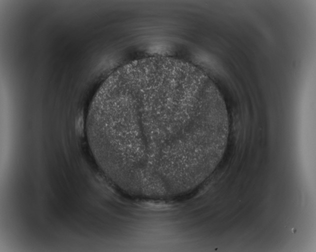 X0000086240502200704261919