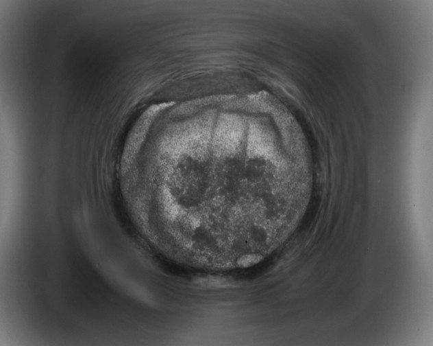 X0000086240503200704261919