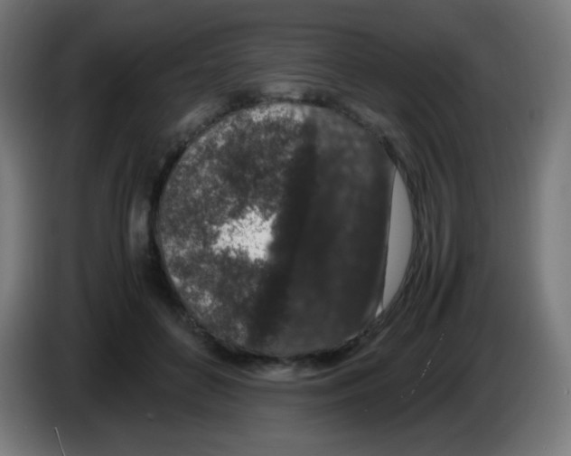 X0000086240504200704261919