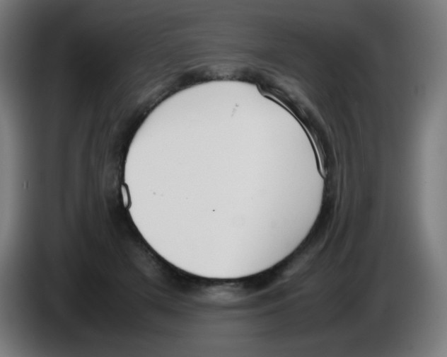 X0000086240505200704261919