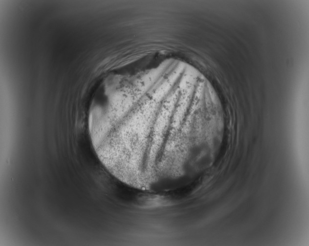 X0000086240507200704261919