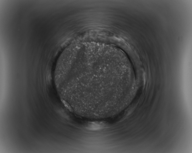 X0000086240508200704261919