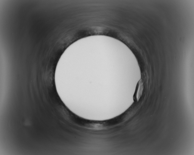 X0000086240509200704261919