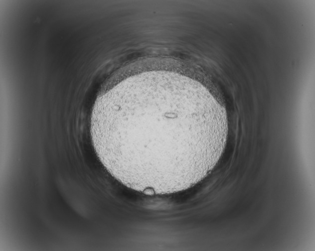 X0000086240511200704261919