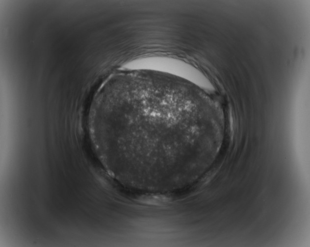 X0000086240512200704261919