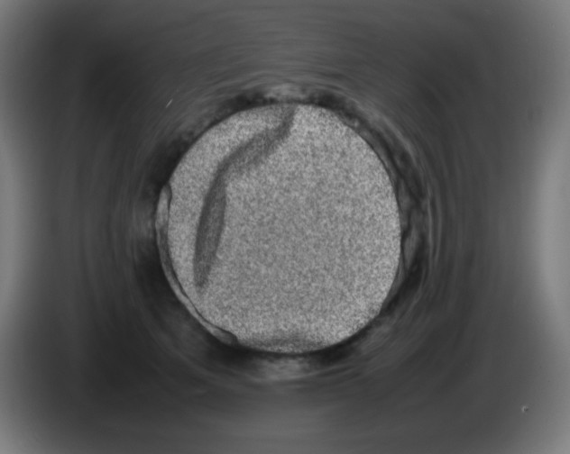 X0000086240513200704261919