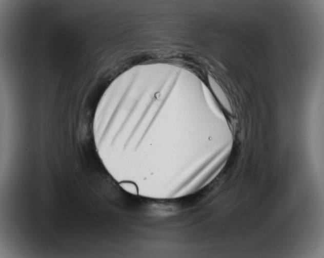 X0000086240515200704261918