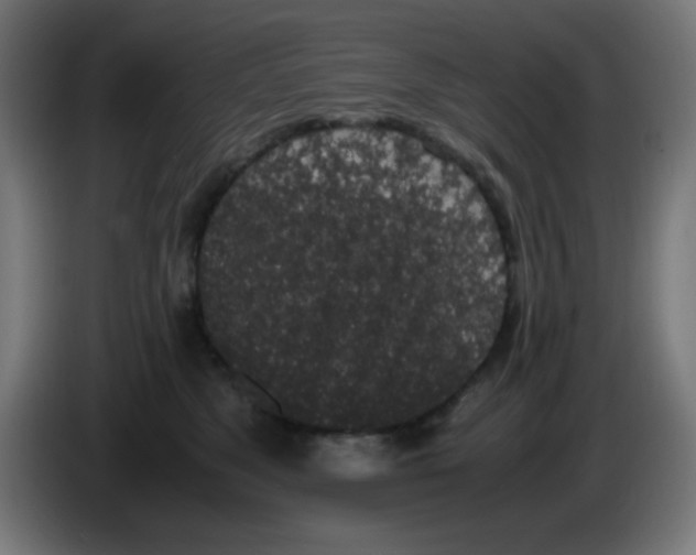 X0000086240517200704261918