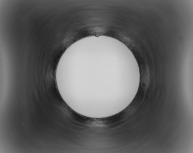 X0000086240518200704261918
