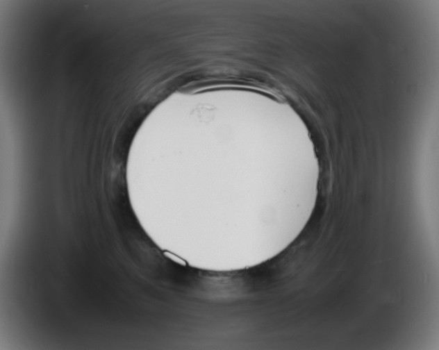 X0000086240521200704261918