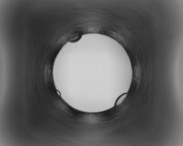 X0000086240522200704261918