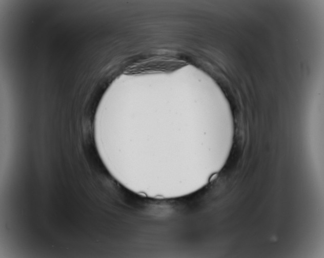 X0000086240523200704261918